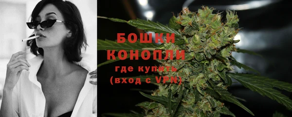 гидропоника Верея