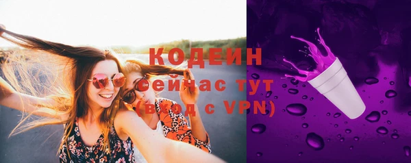 соль ск Верхний Тагил
