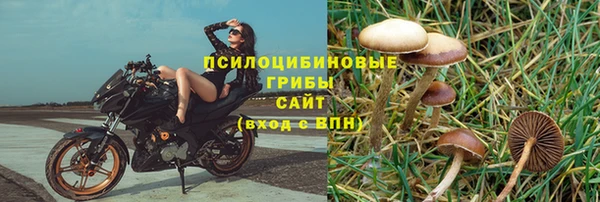 гидропоника Верея