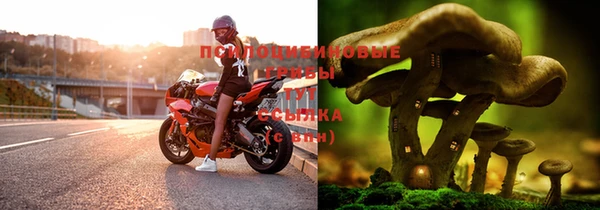 гидропоника Верея